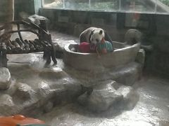 -海南热带野生动植物园