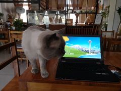 -映画咖啡