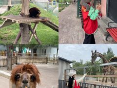 -水上乐园·欢乐世界