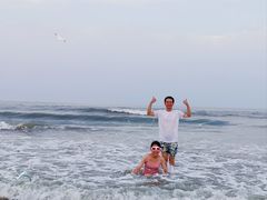 -日照海滨国家森林公园
