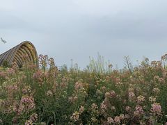 -中国天府农业博览园