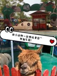 -萌宠亲子动物乐园(槐房万达店)