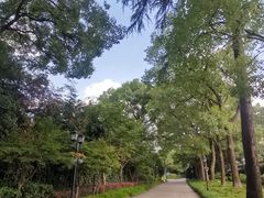 -上海虹桥迎宾馆