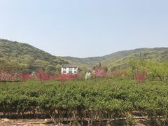 -龙寺生态园