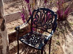 -北京群众马术培训基地