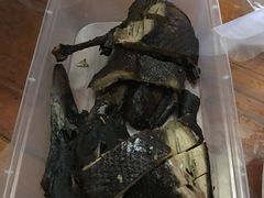 -张鸭子重庆特产卤味小吃(未来国际店)