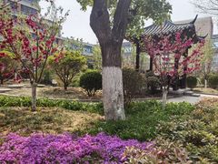 -山东省千佛山医院