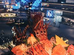 综合刺身拼盘-花潮料理艺食馆(成都万象城店)