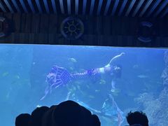 -左海海底世界