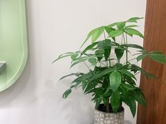 -海马体家庭照相馆(广州正佳广场店)
