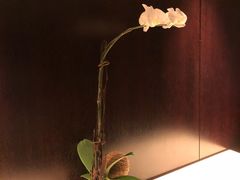 -马哥孛罗香港酒店