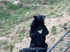 -大连森林动物园