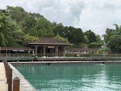 -金盆阿嬷香菇茶叶蛋(玄光店)