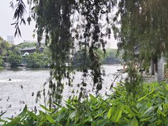 -荔湾湖公园
