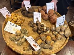 -滇野云南野生菌餐厅(陕西南路店)