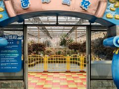 -南宫五洲植物乐园