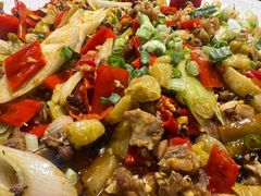 -老号尤兔头(幸福店)