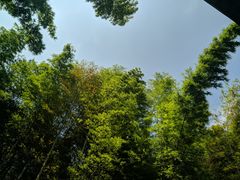 -瑶湖郊野森林公园