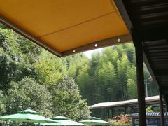 -将军关探险漂流