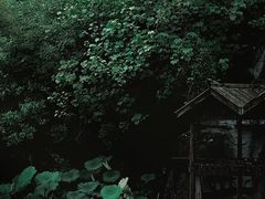 -千岛湖东南湖区