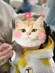 -雅尼·亚米儿童摄影美学馆(汉阳店)