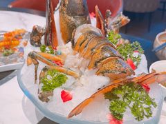 -斯普汇生蚝牛排馆(中骏世界城店)