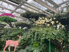 -兰陵国家农业公园