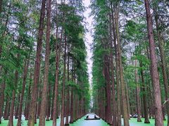 -渌洋湖湿地公园
