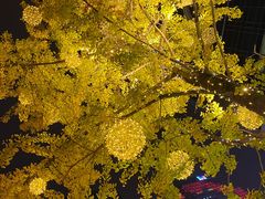 -和幸(春熙路群光广场店)