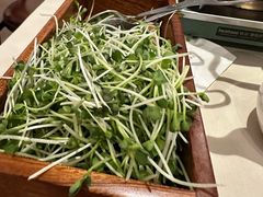 鸡汤萝卜苗-阿庄新豫菜(航海东路店)