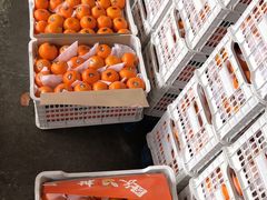 沃柑-东方鼎信农副产品交易中心
