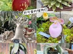 -国家植物园南园