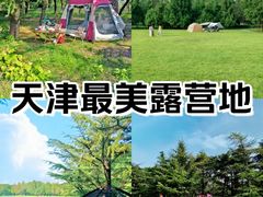 -泰丰公园