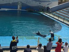 -北戴河圣蓝海洋公园