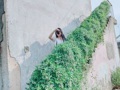 -海堤纪念公园