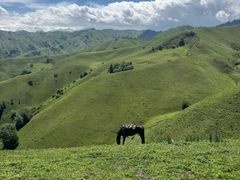 -新疆那拉提国家旅游度假区
