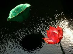-苹果花园(鞍山路店)