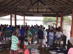 -尼甘布海鲜市场