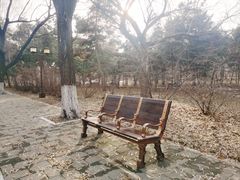 -北陵公园