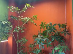 -0048鲜活香辣虾·火锅(铜陵路店)