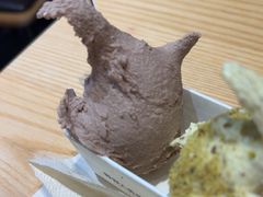 -野人先生现做冰淇淋(北京顺义祥云小镇店)