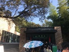 -紫金山山顶公园