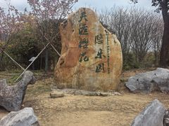 -天适樱花悠乐园