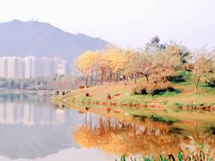 -飞来湖湿地公园