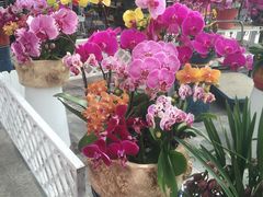 -北京稻香村(花市店)