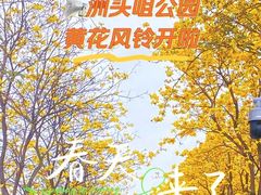 -洲头咀公园