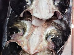 -畲乡一品鱼府土菜馆