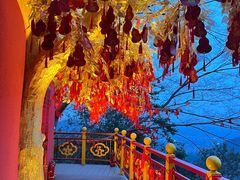-灵顺寺
