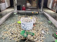 -保定会馆(秀兰店)