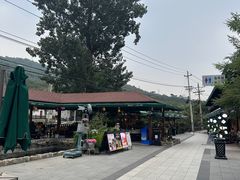 -京北渔家傲